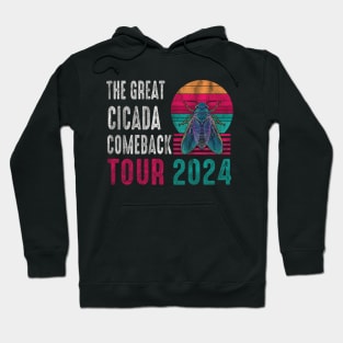 The Great Cicada Comeback Tour 2024 Hoodie